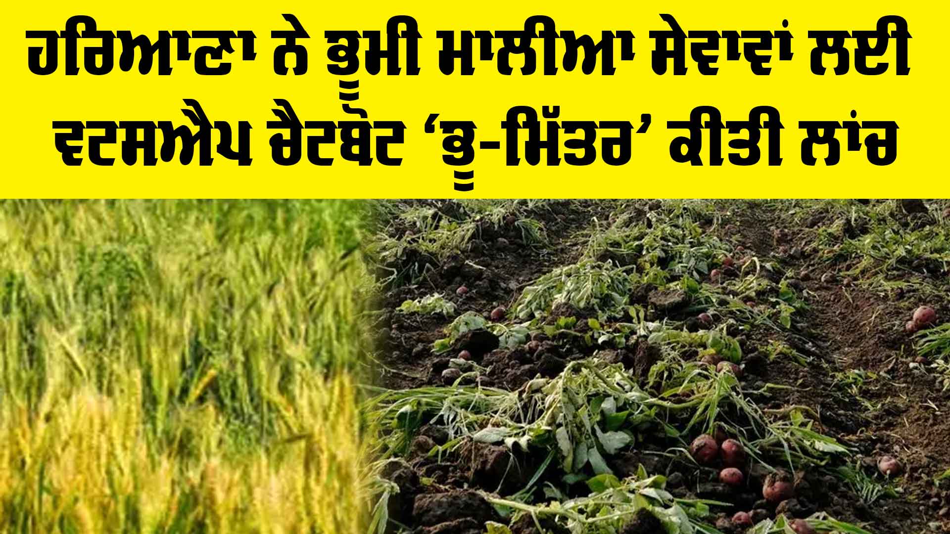 Haryana News: ਹਰਿਆਣਾ ਨੇ ਭੂਮੀ ਮਾਲੀਆ ਸੇਵਾਵਾਂ ਲਈ ਵਟਸਐਪ ਚੈਟਬੋਟ ‘ਭੂ-ਮਿੱਤਰ’ ਕੀਤੀ ਲਾਂਚ