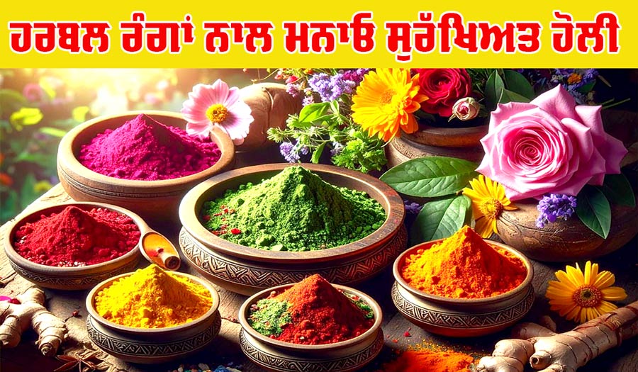 Holi: ਕੈਮੀਕਲ ਰੰਗਾਂ ਨਾਲ ਚਮੜੀ ਨੂੰ ਹੋ ਸਕਦੀ ਹੈ ਐਲਰਜੀ-ਰੈਸ਼ੇਜ, ਹਰਬਲ ਰੰਗਾਂ ਨਾਲ ਮਨਾਓ ਸੁਰੱਖਿਅਤ ਹੋਲੀ