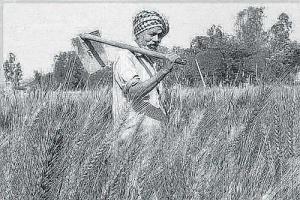 ਝੰਡਾ ਕਿਰਸਾਨੀ ਦਾ