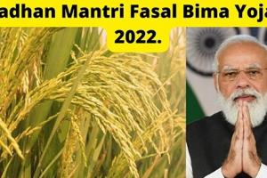 ਖੁਸ਼ਖਬਰੀ: ਮੋਦੀ ਸਰਕਾਰ ਨੇ ਕਿਸਾਨਾਂ ਨੂੰ ਦਿੱਤਾ ਵੱਡਾ ਤੋਹਫਾ