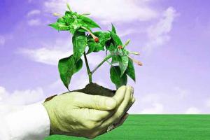 ਰੁੱਖਾਂ ਨਾਲ ਸੁੱਖ (ਬਾਲ ਕਵਿਤਾ)