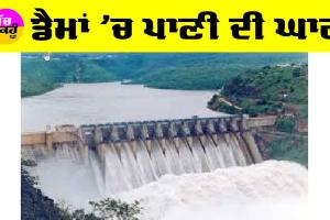Punjab Water News: ਡੈਮਾਂ ’ਚ ਪਾਣੀ ਦੀ ਘਾਟ