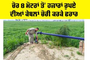 Sangrur News: ਚੋਰ 8 ਮੋਟਰਾਂ ਤੋਂ ਹਜਾਰਾਂ ਰੁਪਏ ਦੀਆਂ ਕੇਬਲਾਂ ਚੋਰੀ ਕਰਕੇ ਫਰਾਰ