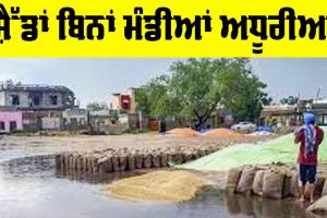 Wheat Procurement Process: ਸ਼ੈੱਡਾਂ ਬਿਨਾਂ ਮੰਡੀਆਂ ਅਧੂਰੀਆਂ