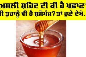 Raw Honey : ਅਸਲੀ ਸ਼ਹਿਦ ਦੀ ਕੀ ਹੈ ਪਛਾਣ? ਕੀ ਤੁਹਾਡਾ ਵੀ ਹੈ ਇਹੀ ਸਵਾਲ? ਤਾਂ ਜ਼ਰੂਰ ਪੜ੍ਹੋ ਪੂਰੀ ਖਬਰ