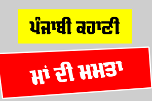 ਮਾਂ ਦੀ ਮਮਤਾ (ਪੰਜਾਬੀ ਕਹਾਣੀ)