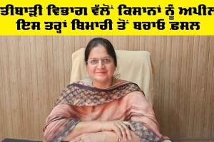 Agriculture Department Punjab: ਖੇਤੀਬਾੜੀ ਵਿਭਾਗ ਵੱਲੋਂ ਕਿਸਾਨਾਂ ਨੂੰ ਅਪੀਲ, ਇਸ ਤਰ੍ਹਾਂ ਬਿਮਾਰੀ ਤੋਂ ਬਚਾਓ ਫ਼ਸਲ