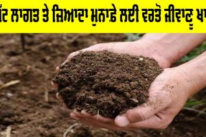 Bio Fertilizers Benefits: ਘੱਟ ਲਾਗਤ ਤੇ ਜ਼ਿਆਦਾ ਮੁਨਾਫ਼ੇ ਲਈ ਵਰਤੋ ਜੀਵਾਣੂ ਖਾਦ