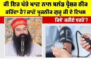 Control High Blood Pressure: ਕੀ ਇਹ ਪੱਤੇ ਖਾਣ ਨਾਲ ਬਲੱਡ ਪ੍ਰੈਸ਼ਰ ਠੀਕ ਰਹਿੰਦਾ ਹੈ? ਜਾਣੋ ਪੂਜਨੀਕ ਗੁਰੂ ਜੀ ਦੇ ਟਿਪਸ