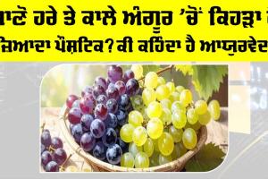 Grapes Benefits: ਜਾਣੋ ਹਰੇ ਤੇ ਕਾਲੇ ਅੰਗੂਰ ’ਚੋਂ ਕਿਹੜਾ ਹੈ ਜ਼ਿਆਦਾ ਪੌਸ਼ਟਿਕ? ਕੀ ਕਹਿੰਦਾ ਹੈ ਆਯੁਰਵੇਦ?